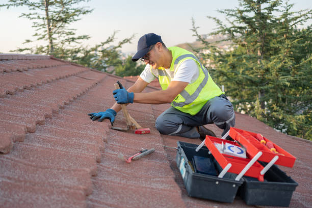 Roof Gutter Cleaning in Highland Park, IL